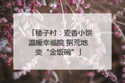 楼子村：麦香小饼温暖幸福院 撂荒地变“金饭碗”