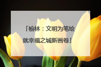 榆林：文明为笔绘就幸福之城新画卷