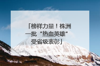 榜样力量！株洲一批“热血英雄”受省级表彰