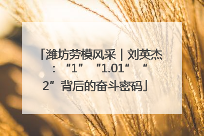 潍坊劳模风采｜刘英杰：“1”“1.01”“2”背后的奋斗密码