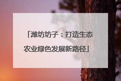潍坊坊子：打造生态农业绿色发展新路径