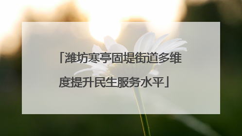 潍坊寒亭固堤街道多维度提升民生服务水平