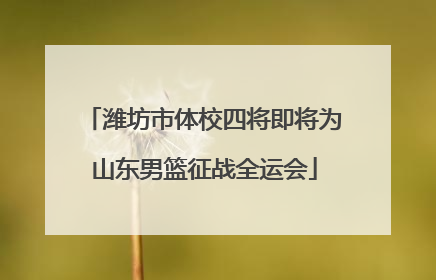 潍坊市体校四将即将为山东男篮征战全运会