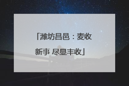 潍坊昌邑：麦收新事 尽显丰收