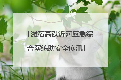潍宿高铁沂河应急综合演练助安全度汛