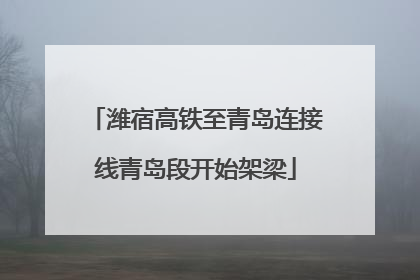 潍宿高铁至青岛连接线青岛段开始架梁