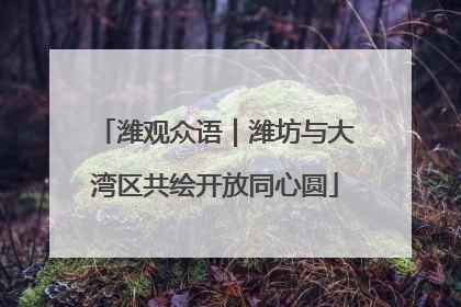 潍观众语｜潍坊与大湾区共绘开放同心圆