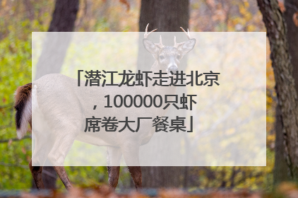 潜江龙虾走进北京，100000只虾席卷大厂餐桌