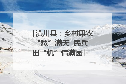 潢川县：乡村果农“愁”满天  民兵出“机”情满园