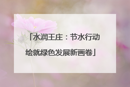 水润王庄：节水行动绘就绿色发展新画卷