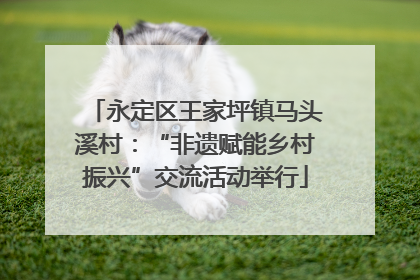 永定区王家坪镇马头溪村：“非遗赋能乡村振兴”交流活动举行