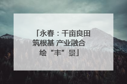 永春：千亩良田筑根基 产业融合绘“丰”景