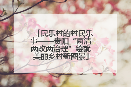 民乐村的村民乐事——贵阳“两清两改两治理”绘就美丽乡村新图景