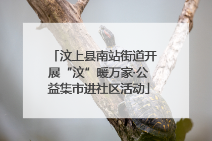 汶上县南站街道开展“汶”暖万家·公益集市进社区活动