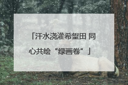 汗水浇灌希望田 同心共绘“绿画卷”