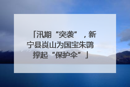 汛期“突袭”，新宁县崀山为国宝朱鹮撑起“保护伞”