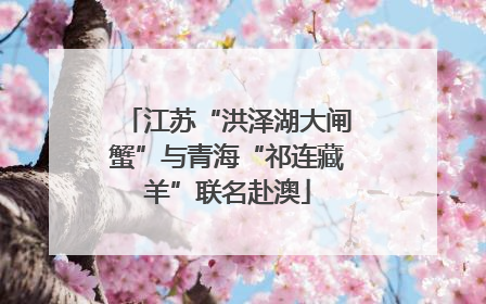 江苏“洪泽湖大闸蟹”与青海“祁连藏羊”联名赴澳