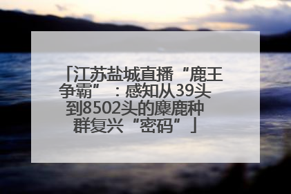 江苏盐城直播“鹿王争霸”：感知从39头到8502头的麋鹿种群复兴“密码”