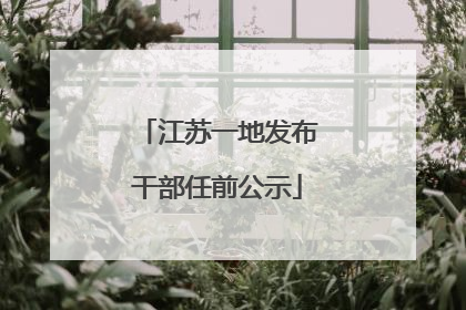 江苏一地发布干部任前公示