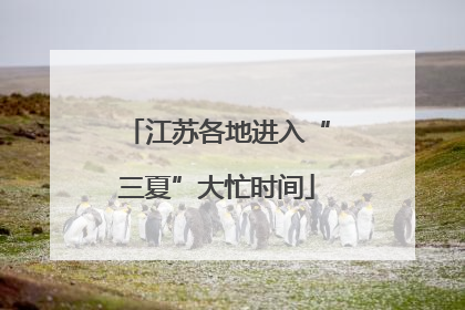 江苏各地进入“三夏”大忙时间