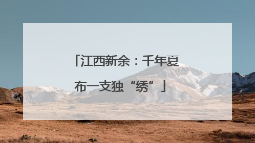江西新余：千年夏布一支独“绣”