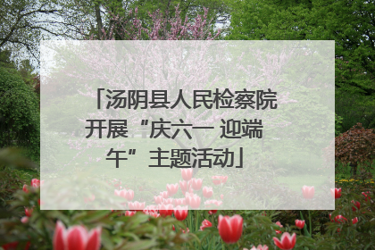 汤阴县人民检察院开展“庆六一 迎端午”主题活动