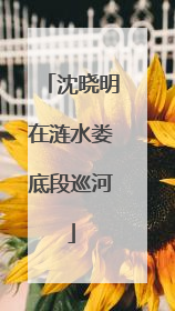 沈晓明在涟水娄底段巡河