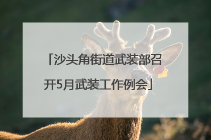沙头角街道武装部召开5月武装工作例会