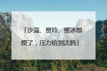 沙溢、贾玲、贾冰都瘦了，压力给到沈腾