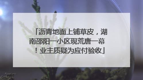 沥青地面上铺草皮，湖南邵阳一小区现荒唐一幕！业主质疑为应付验收