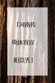河南传统体育宜阳竞秀
