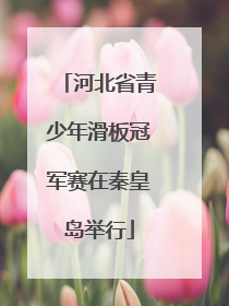 河北省青少年滑板冠军赛在秦皇岛举行