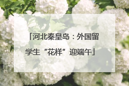 河北秦皇岛：外国留学生“花样”迎端午