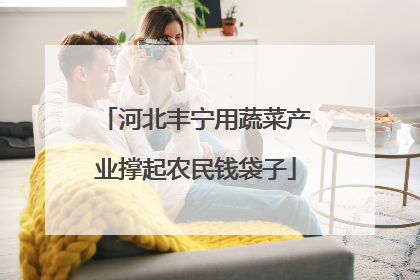 河北丰宁用蔬菜产业撑起农民钱袋子