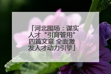 河北围场：谋实人才“引育管用”四篇文章 全面激发人才动力引擎