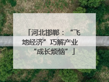 河北邯郸：“飞地经济”巧解产业“成长烦恼”