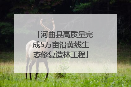 河曲县高质量完成5万亩沿黄线生态修复造林工程