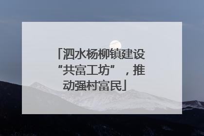 泗水杨柳镇建设“共富工坊”，推动强村富民
