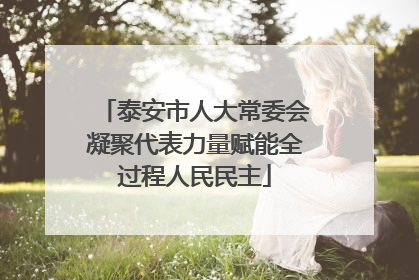 泰安市人大常委会凝聚代表力量赋能全过程人民民主