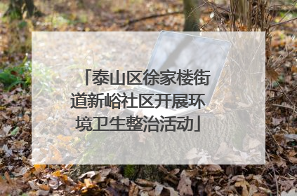 泰山区徐家楼街道新峪社区开展环境卫生整治活动