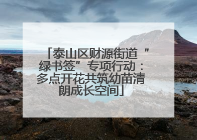 泰山区财源街道“绿书签”专项行动：多点开花共筑幼苗清朗成长空间