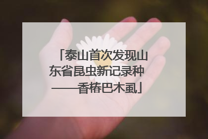 泰山首次发现山东省昆虫新记录种——香椿巴木虱