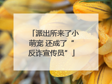 派出所来了小萌宠 还成了“反诈宣传员”
