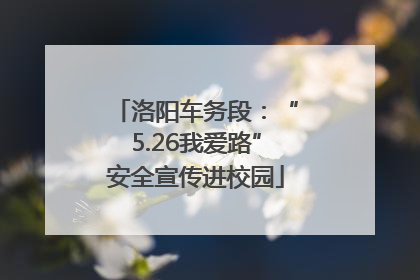 洛阳车务段：“5.26我爱路”安全宣传进校园