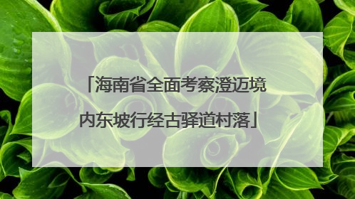 海南省全面考察澄迈境内东坡行经古驿道村落