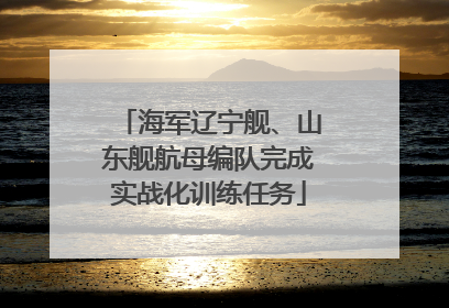 海军辽宁舰、山东舰航母编队完成实战化训练任务