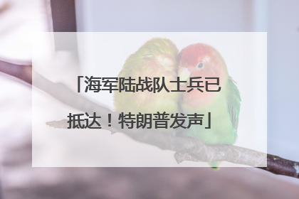 海军陆战队士兵已抵达！特朗普发声
