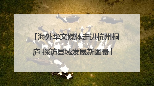 海外华文媒体走进杭州桐庐 探访县域发展新图景