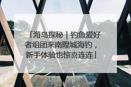 海岛探秘｜钓鱼爱好者组团来南隍城海钓，新手体验也惊喜连连