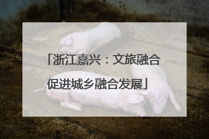 浙江嘉兴：文旅融合促进城乡融合发展